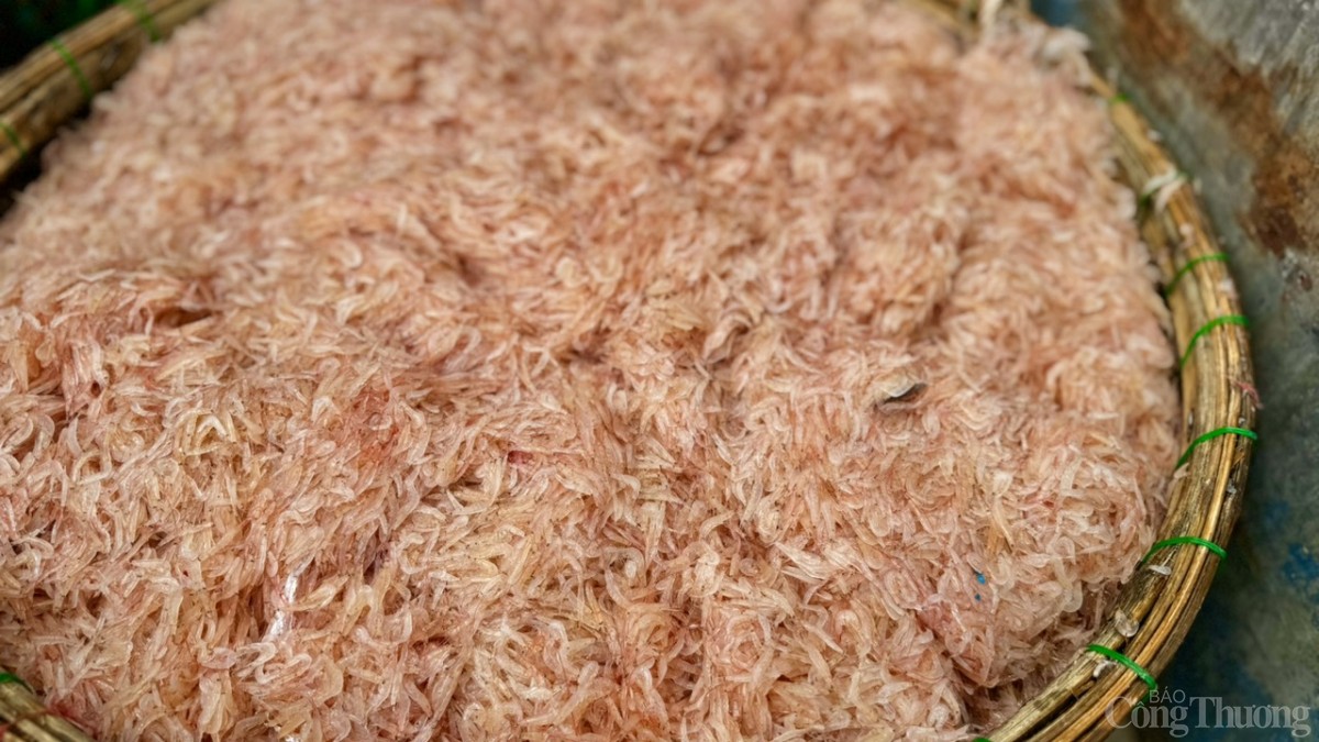 Ruốc (tép biển) là tên gọi của một loại động vật giáp xác mười chân. Sống ở vùng nước ven gần bờ. Ruốc có hình dạng giống con tôm nhưng chỉ nhỏ khoảng 4 - 10 mm. Ruốc (tép biển) là tên gọi của một loại động vật giáp xác mười chân. Sống ở vùng nước ven gần bờ. Ruốc có hình dạng giống con tôm nhưng chỉ nhỏ khoảng 4 - 10 mm.