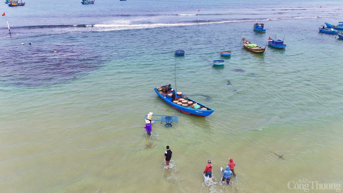 Mùa ruốc thường bắt đầu từ tháng 1-2 và kéo dài đến tháng 4 (âm lịch). Ngư dân bắt đầu ra khơi từ 3 – 4h sáng đến trưa có thể thu hoạch được 4 - 5 tạ ruốc. Mùa ruốc thường bắt đầu từ tháng 1-2 và kéo dài đến tháng 4 (âm lịch). Ngư dân bắt đầu ra khơi từ 3 – 4h sáng đến trưa có thể thu hoạch được 4 - 5 tạ ruốc.