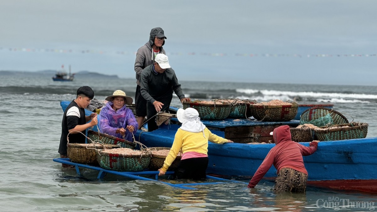 Mỗi ngày, có hàng chục tàu nhỏ cập bến tại bãi biển thôn Châu Thuận Biển (xã Bình Châu) mang theo những giỏ ruốc đầy ắp Mỗi ngày, có hàng chục tàu nhỏ cập bến tại bãi biển thôn Châu Thuận Biển (xã Bình Châu) mang theo những giỏ ruốc đầy ắp