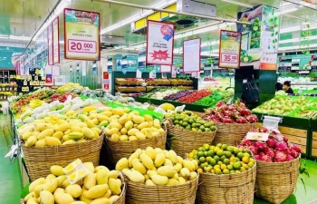Hà Nội: Kiểm tra thực hiện quản lý Nhà nước về giá
