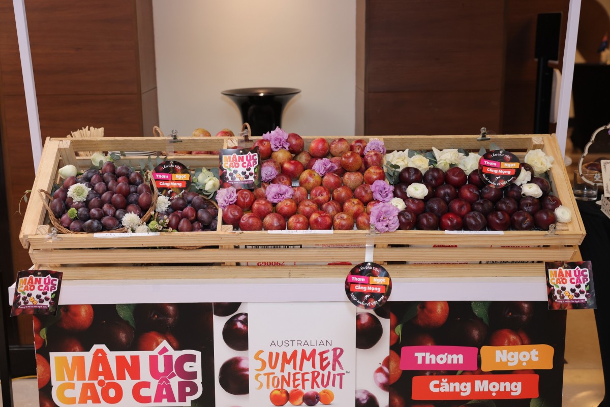 Sự đa dạng của Mận Úc đảm bảo sẽ làm hài lòng ngay cả những thực khách khó tính nhất. Ảnh: HM Sự đa dạng của Mận Úc đảm bảo sẽ làm hài lòng ngay cả những thực khách khó tính nhất. Ảnh: HM