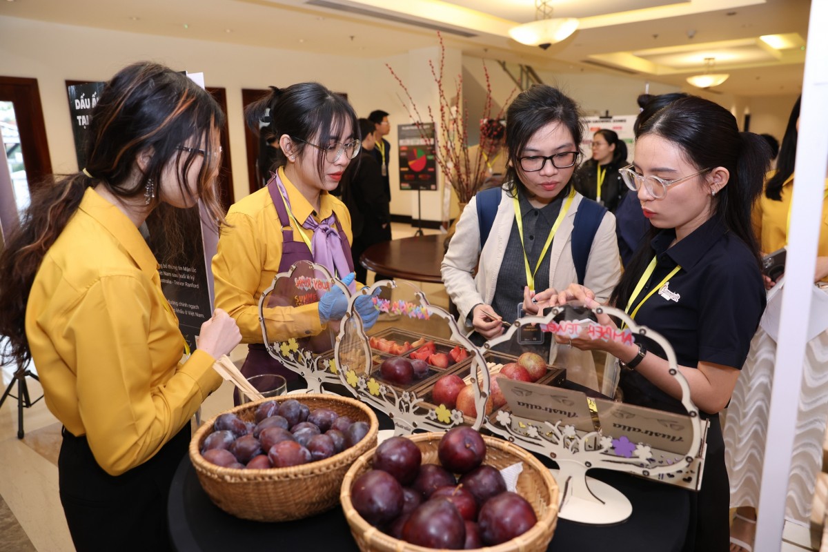 Khách mời háo hức nếm thử nhiều loại mận Úc, tận hưởng hương vị thơm, ngọt và căng mọng. Ảnh: HM Khách mời háo hức nếm thử nhiều loại mận Úc, tận hưởng hương vị thơm, ngọt và căng mọng. Ảnh: HM