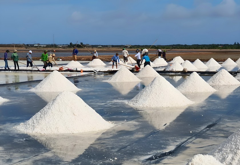 Bạc Liêu nhiều kỳ vọng tại Festival Muối 2025 Bạc Liêu nhiều kỳ vọng tại Festival Muối 2025