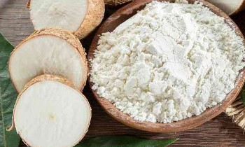Trung Quốc tăng nhập khẩu tinh bột sắn từ Việt Nam