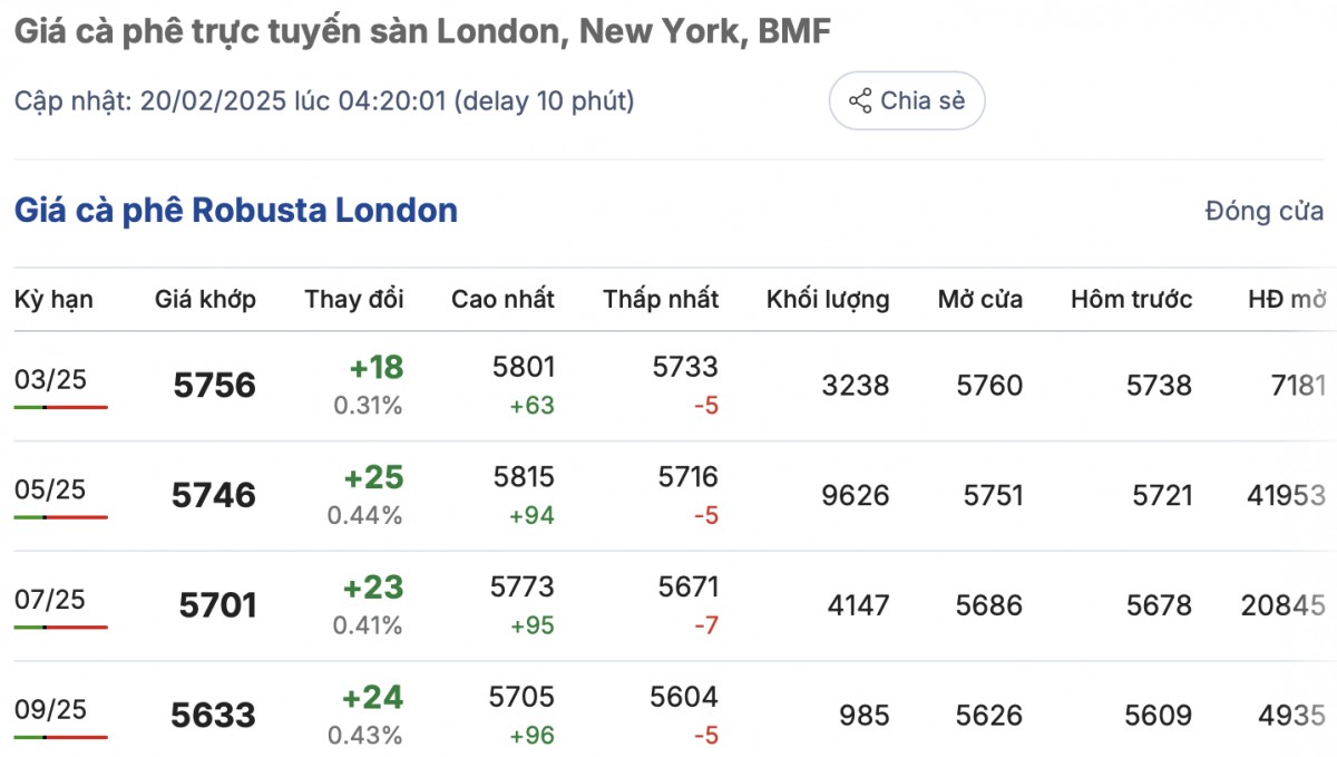 Giá cà phê hôm nay 20/2/2025 tăng khá mạnh