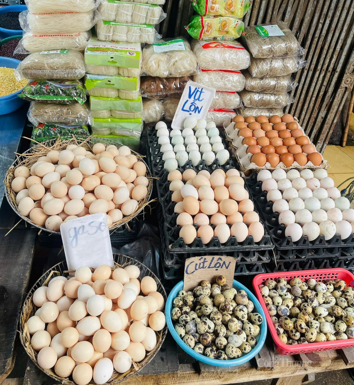 Trứng được bày bán la liệt tại các chợ dân sinh. Ảnh: Nguyễn Thanh Trứng được bày bán la liệt tại các chợ dân sinh. Ảnh: Nguyễn Thanh