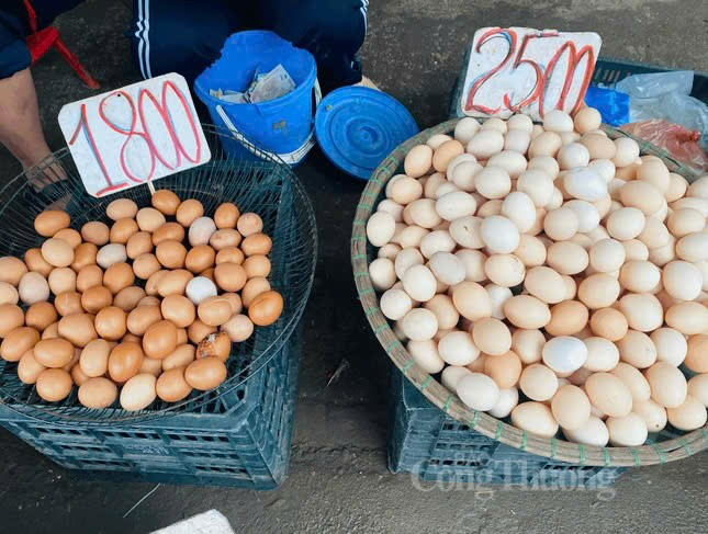 Trứng gà được bày bán la liệt trên nhiều tuyến đường ở Hà Nội. Ảnh: Nguyễn Thanh Trứng gà được bày bán la liệt trên nhiều tuyến đường ở Hà Nội. Ảnh: Nguyễn Thanh