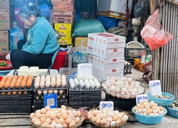 Giá trứng gia cầm 'rớt đáy' sau Tết Nguyên đán