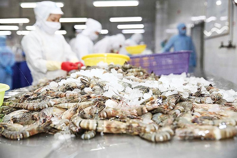 Quý I/2025, xuất khẩu tôm tăng trên 37% Quý I/2025, xuất khẩu tôm tăng trên 37%