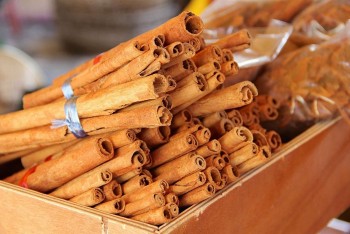 Ấn Độ là thị trường xuất khẩu chính của quế Việt Nam