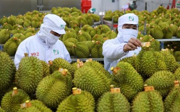 EU từ bỏ mục tiêu giảm thuốc trừ sâu với nông sản
