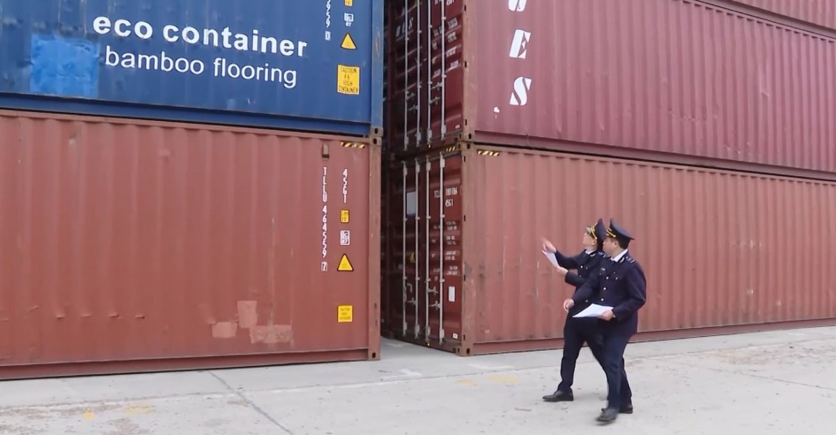 hải quan thanh hóa 2025