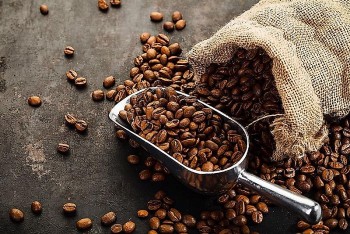 Top những quốc gia sản xuất cà phê hàng đầu thế giới