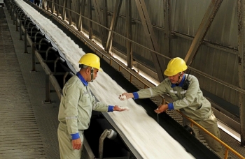 Nhóm 5 thị trường xuất khẩu lớn nhất của Lâm Đồng