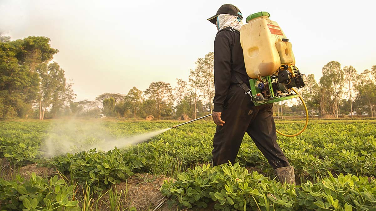 Kế hoạch Quy định sử dụng bền vững Thuốc trừ sâu (SUR) được đề xuất vào tháng 6/2022.