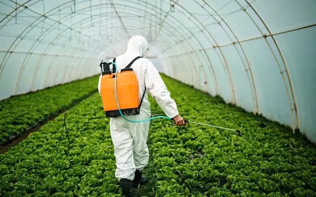 Việc EU từ bỏ kế hoạch cắt giảm thuốc trừ sâu có thể giúp các doanh nghiệp xuất khẩu nông sản Việt Nam giảm áp lực