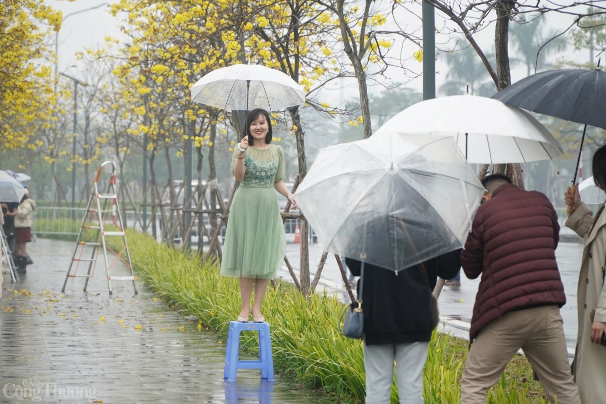 Nhiều “nàng thơ” tới chụp ảnh check-in với loài hoa này.