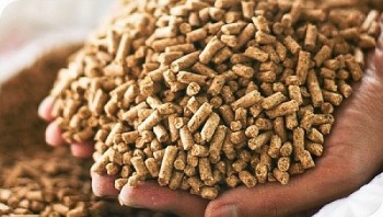 Những thị trường xuất khẩu thức ăn gia súc của Việt Nam