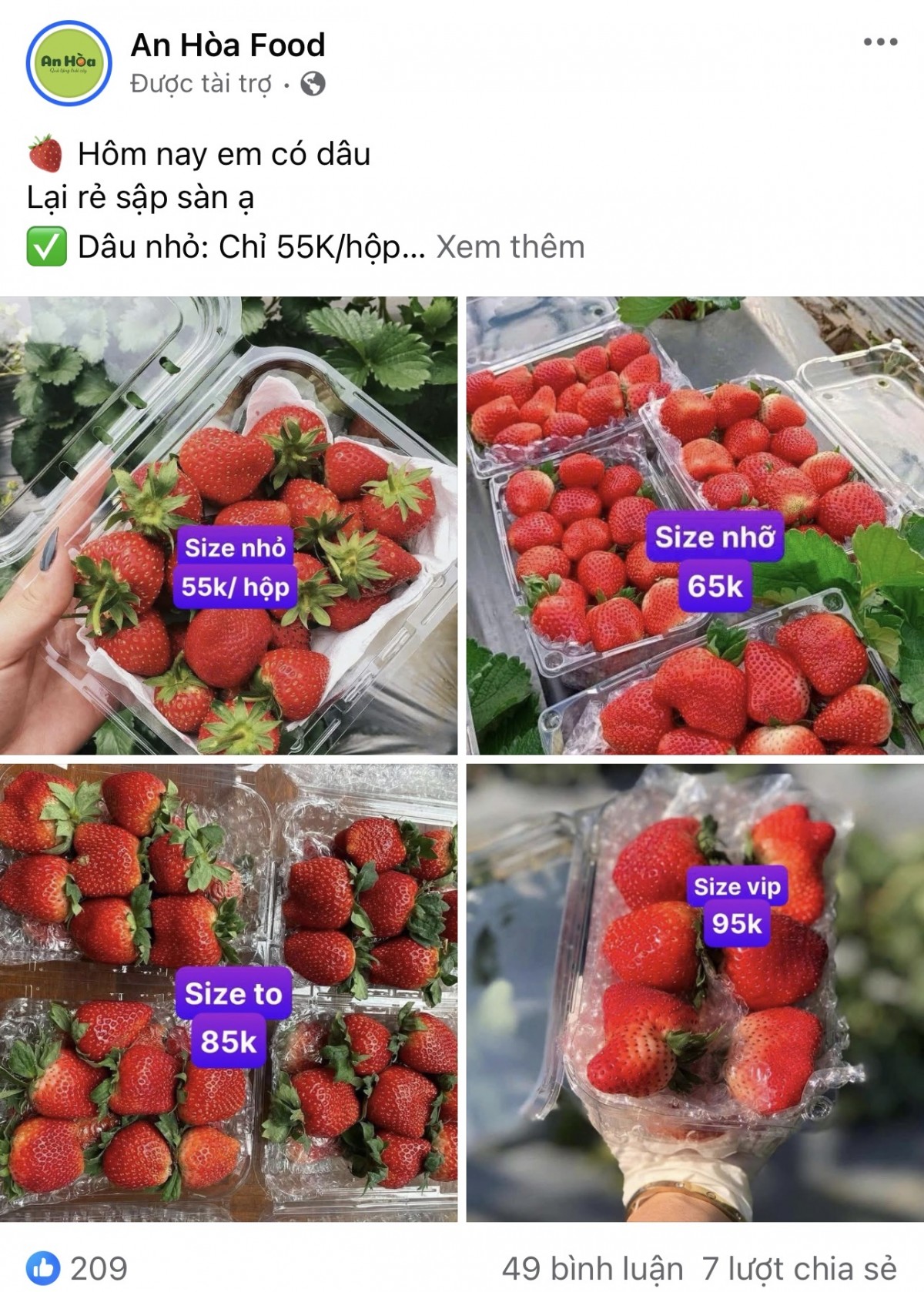 Giá dâu cũng biến động giảm đồng thời người bán cũng đưa ra thêm ưu đãi cho những khách hàng