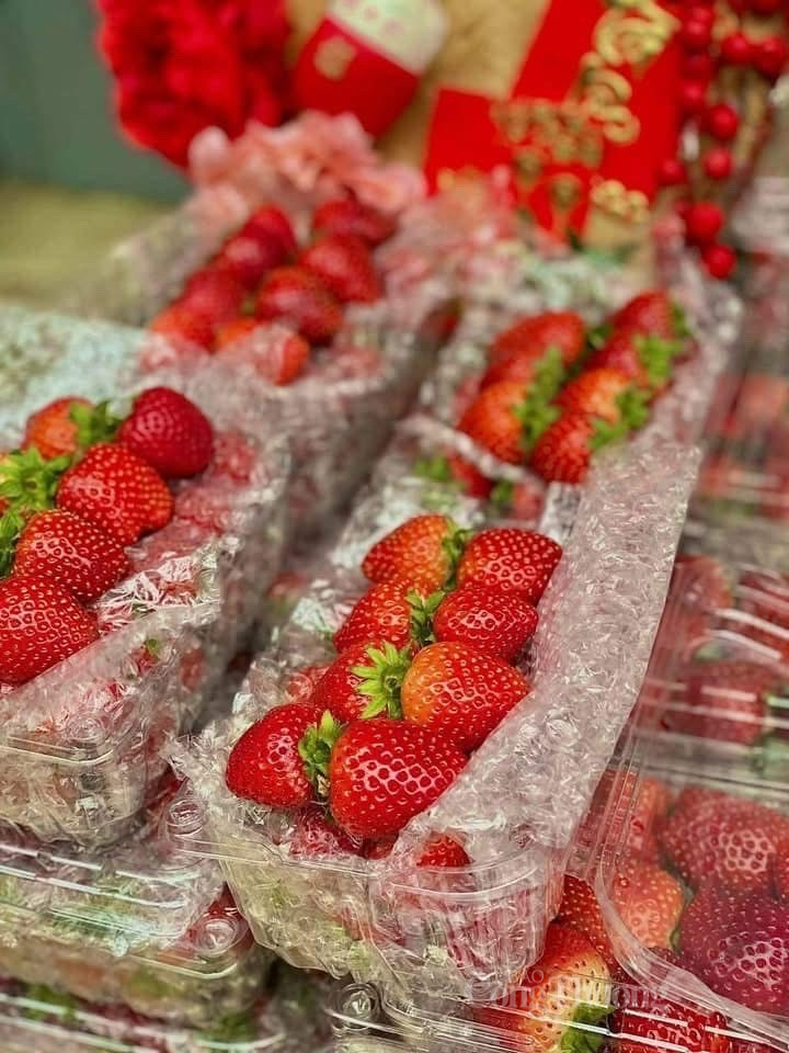 Dâu tây được chia làm nhiều kích cỡ quả nên giá tiền cũng có nhiều sự chênh lệch. Ảnh: Nguyễn Thanh Dâu tây được chia làm nhiều kích cỡ quả nên giá tiền cũng có nhiều sự chênh lệch. Ảnh: Nguyễn Thanh