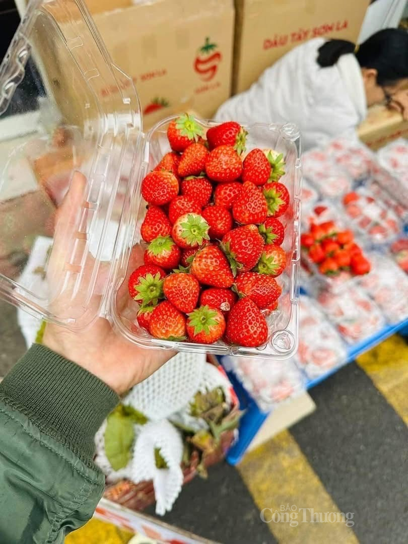 Dâu tây có thể chế biến làm nhiều món ngon để sử dụng lâu dài. Ảnh: Nguyễn Thanh Dâu tây có thể chế biến làm nhiều món ngon để sử dụng lâu dài. Ảnh: Nguyễn Thanh