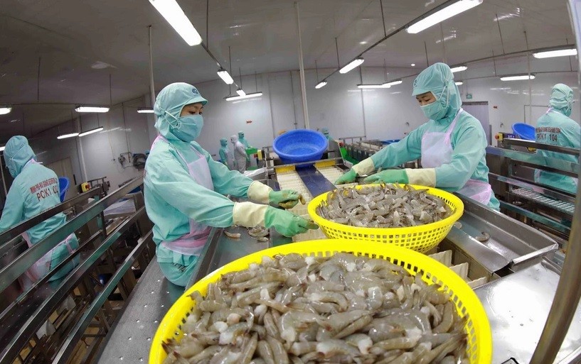 ngành tôm Việt Nam 