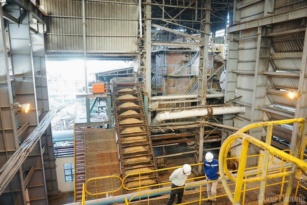 Gia Lai ưu tiên phát triển ngành công nghiệp chế biến Gia Lai ưu tiên phát triển ngành công nghiệp chế biến