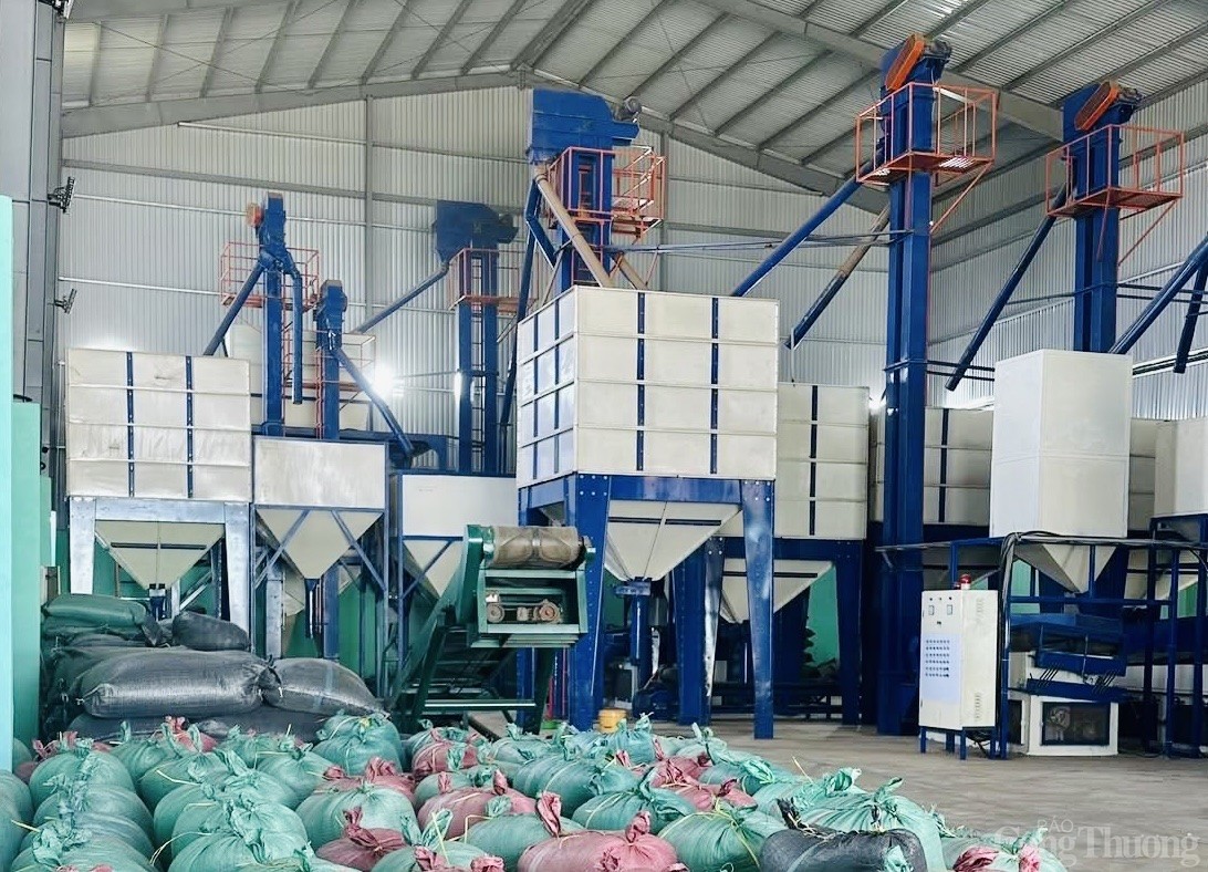Gia Lai ưu tiên phát triển ngành công nghiệp chế biến Gia Lai ưu tiên phát triển ngành công nghiệp chế biến
