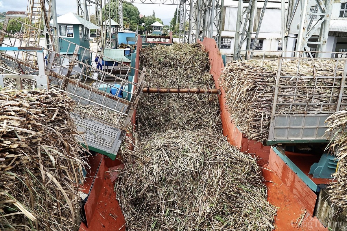 Gia Lai ưu tiên phát triển ngành công nghiệp chế biến Gia Lai ưu tiên phát triển ngành công nghiệp chế biến