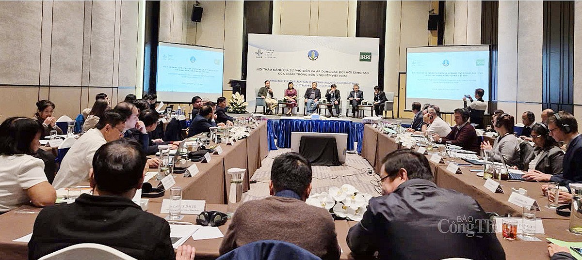 Hội thảo đánh giá sự phổ biến và áp dụng các đổi mới sáng tạo của CGIAR trong nông nghiệp Việt Nam