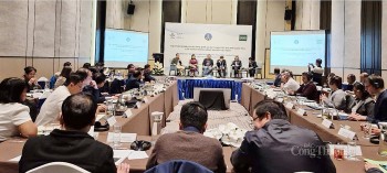 3,9 triệu hộ nông dân được tạo sinh kế nhờ đổi mới sáng tạo