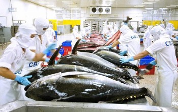 Xuất khẩu cá ngừ của Việt Nam giảm trong tháng đầu năm