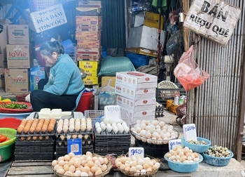 Lý do trứng gà giá rẻ bán đầy chợ