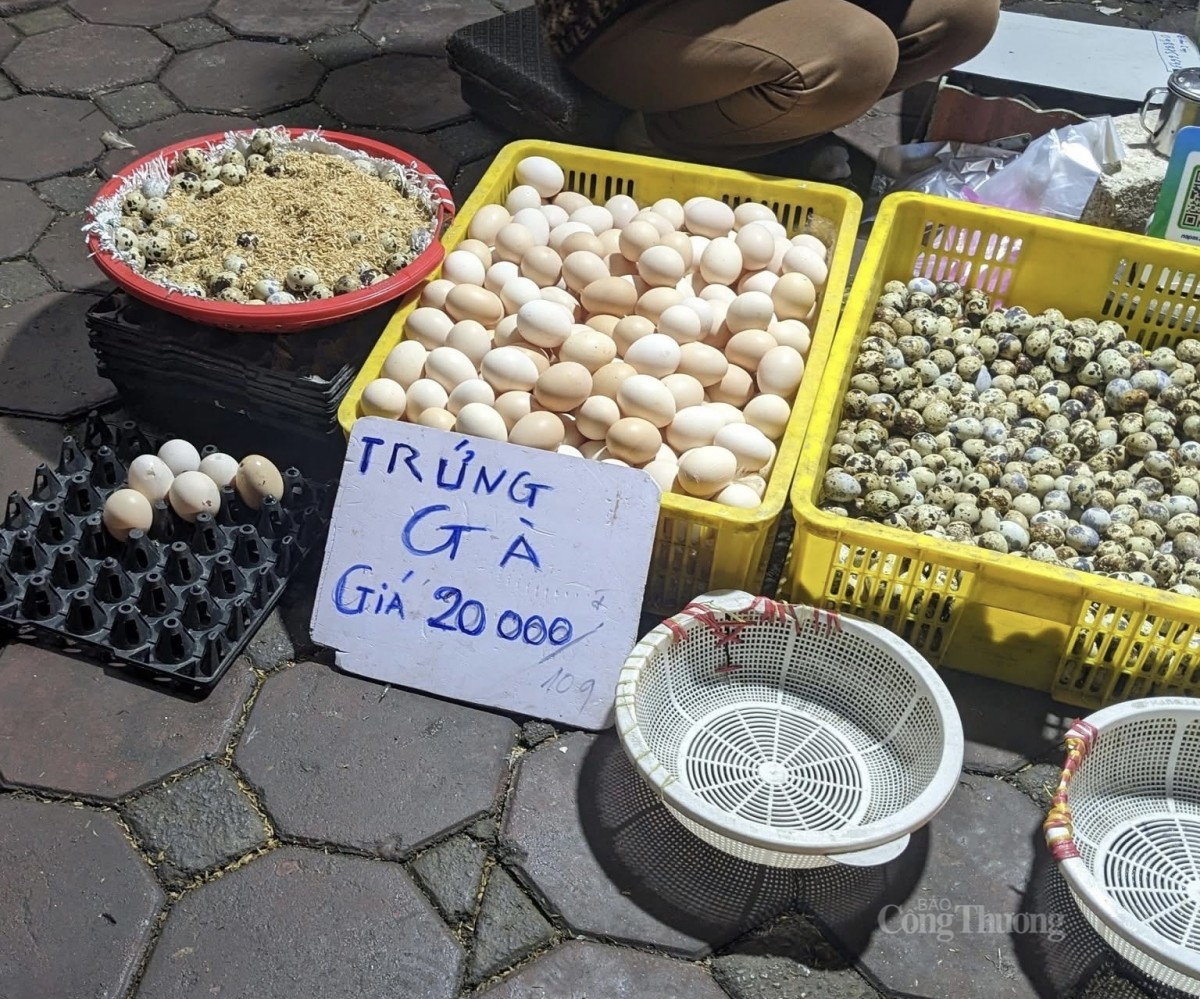 Lý do trứng gà giá rẻ bán đầy chợ?