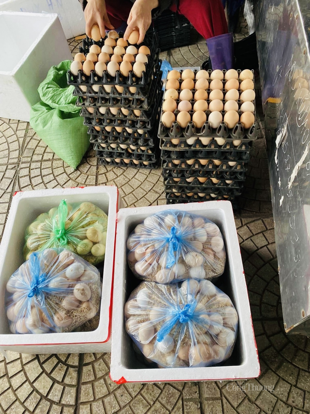 Lý do trứng gà giá rẻ bán đầy chợ?