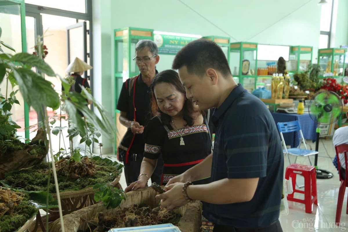 Một phiên chợ Sâm Ngọc Linh Một phiên chợ Sâm Ngọc Linh