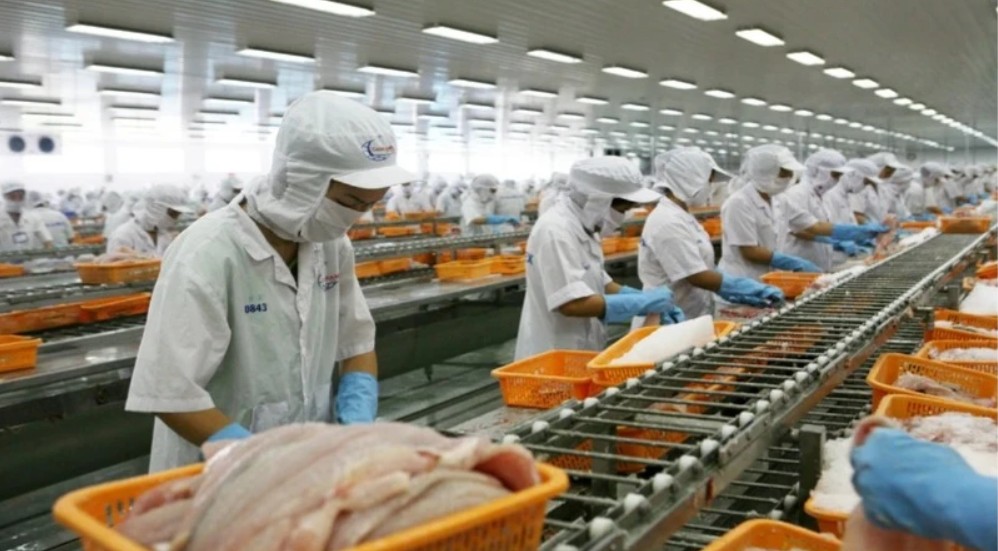 Trong EU, Đức là thị trường xuất khẩu thủy sản lớn nhất của Việt Nam