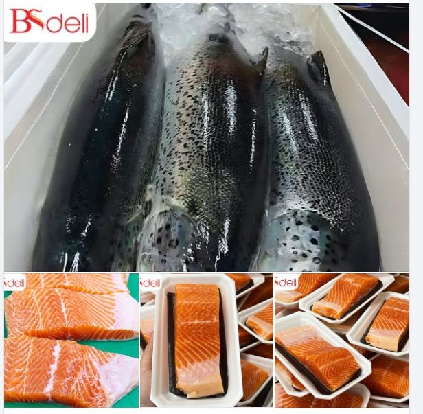 ‘Bí ẩn’ xung quanh Công ty nhập lô cá hồi nhiễm virus ‘Bí ẩn’ xung quanh Công ty nhập lô cá hồi nhiễm virus