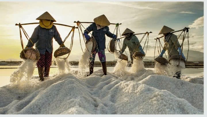 Cánh đồng khát vọng