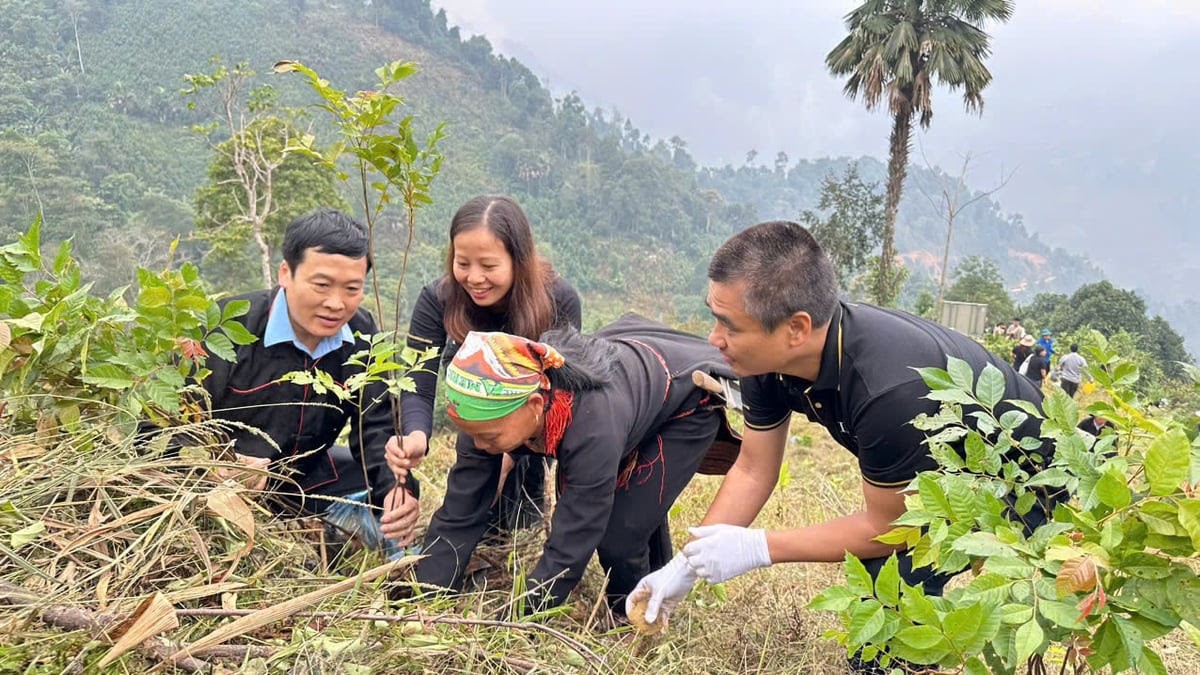 Doanh nghiệp chung tay bảo vệ môi trường Doanh nghiệp chung tay bảo vệ môi trường