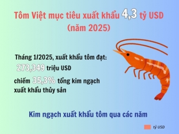 Tôm Việt mục tiêu xuất khẩu 4,3 tỷ USD trong năm 2025