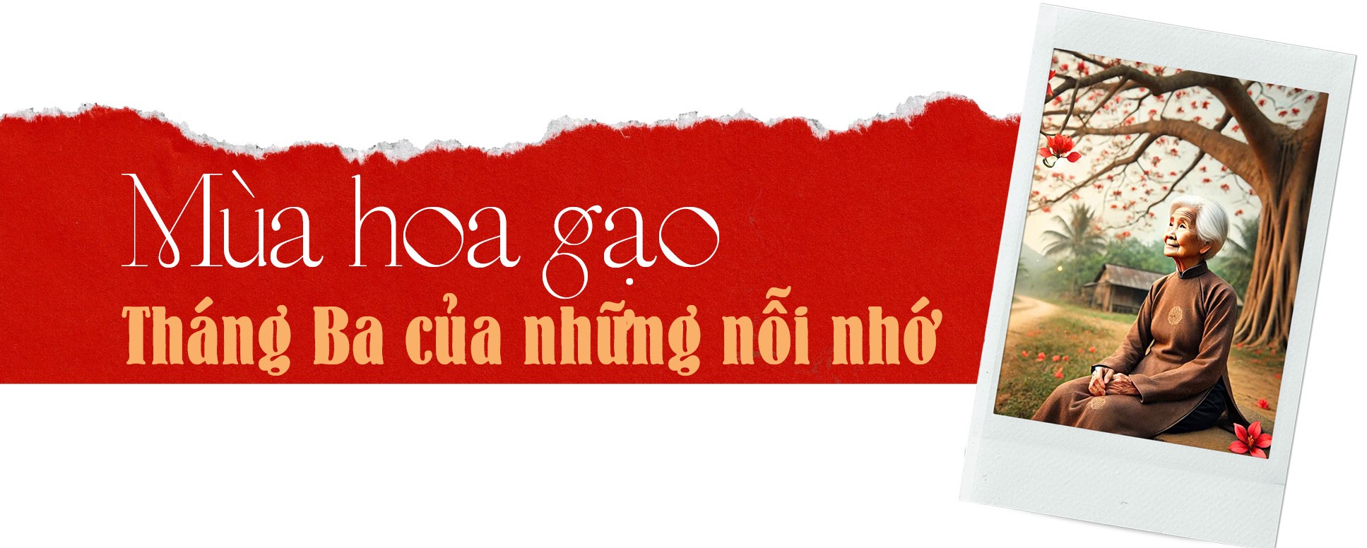 Hoa gạo tháng 3 - Những ai còn nhớ? Hoa gạo tháng 3 - Những ai còn nhớ?