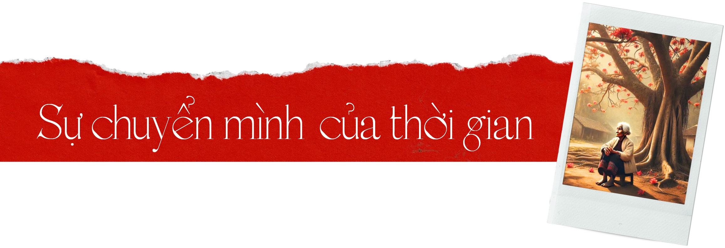 Hoa gạo tháng 3 - Những ai còn nhớ? Hoa gạo tháng 3 - Những ai còn nhớ?