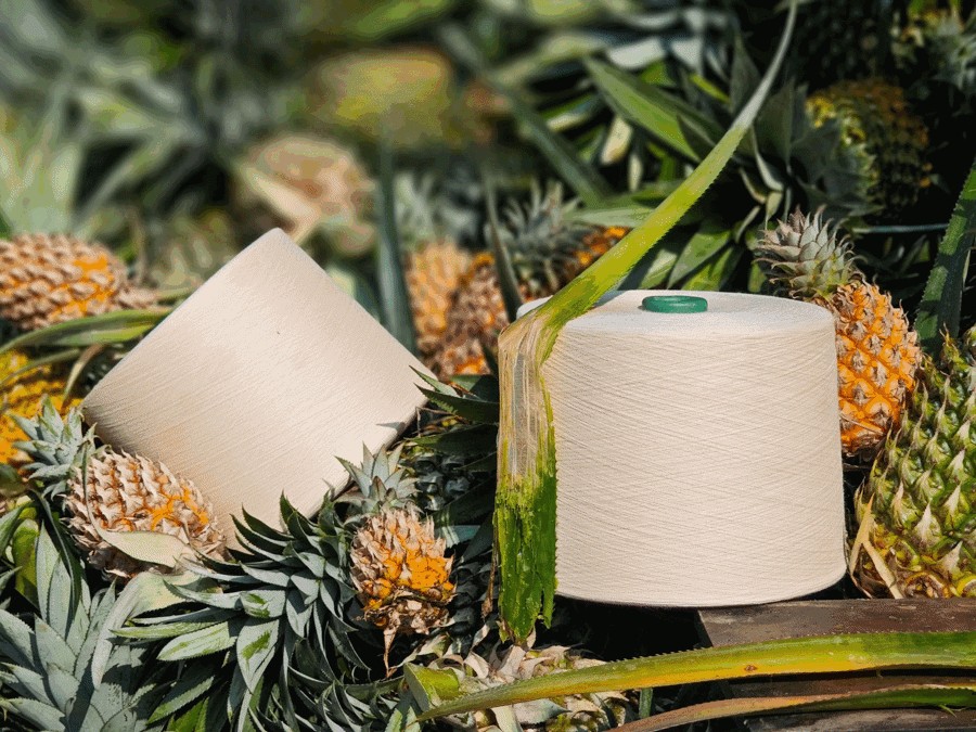 Sợi sản xuất từ lá dứa - bước tiến mới của ngành nguyen phụ liệu dệt may Việt Nam