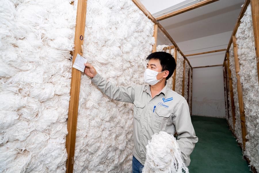 Nhà máy sản xuất sợi gai An Phước Viramie có công suất 10.000 cọc sợi/năm, tương ứng với 1.700 tấn sợi gai/năm và 1.400 tấn bông gai/năm.