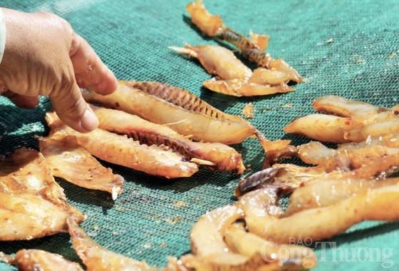 Sông Sê San và những ký ức của người dân làng chài