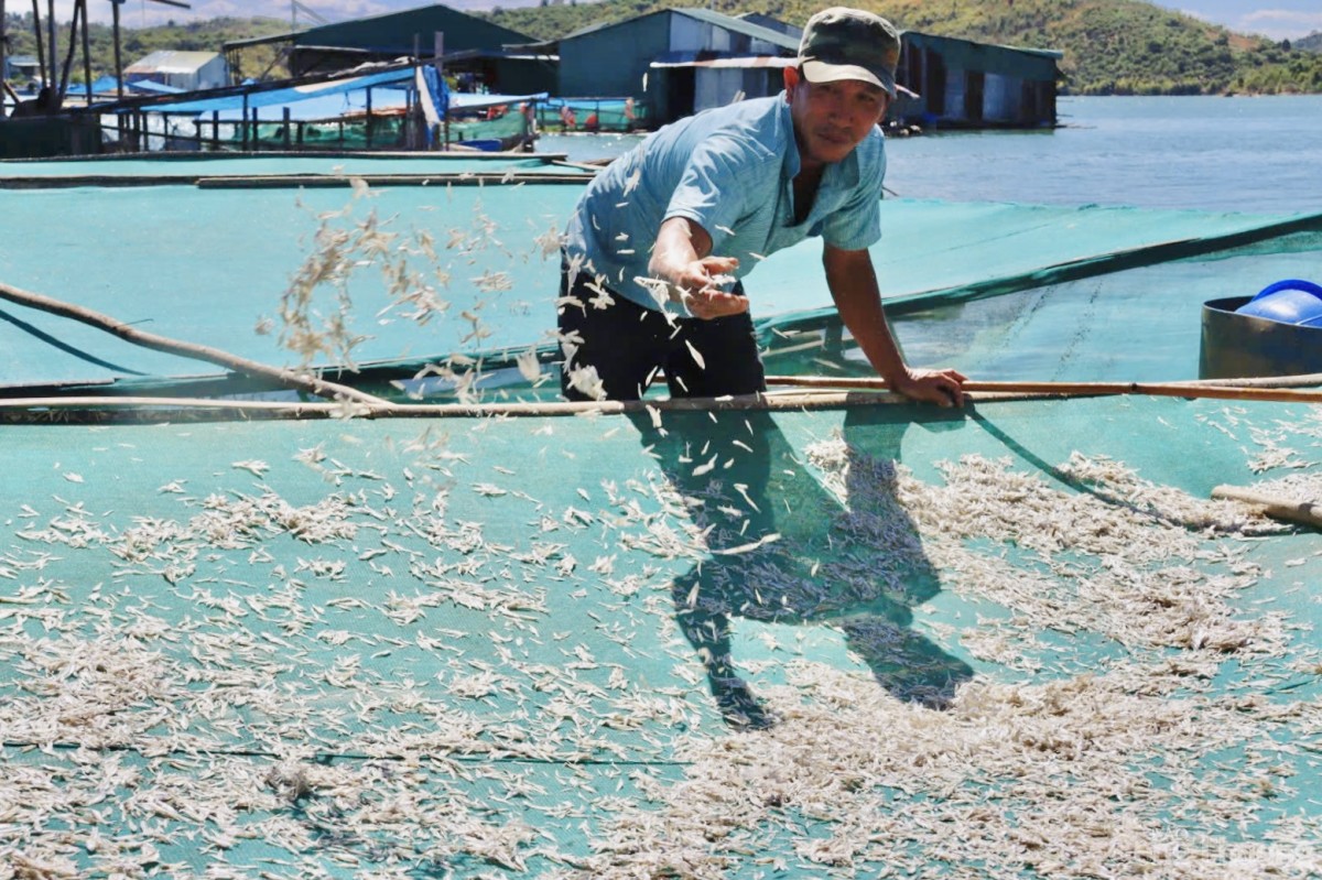 Sông Sê San và những ký ức của người dân làng chài