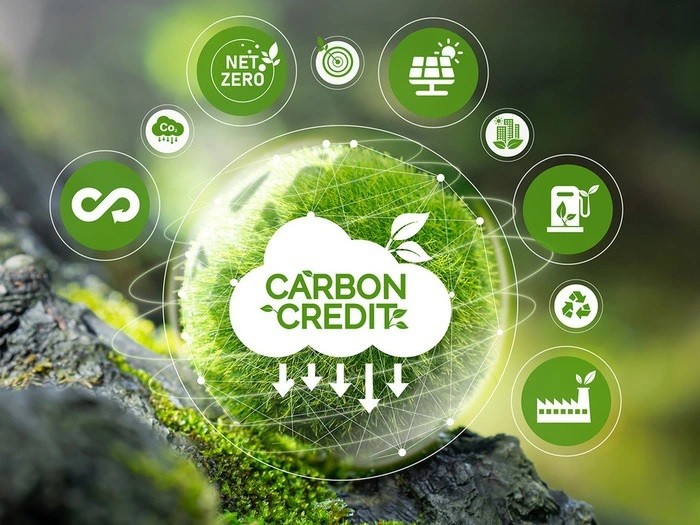 thị trường carbon thị trường carbon