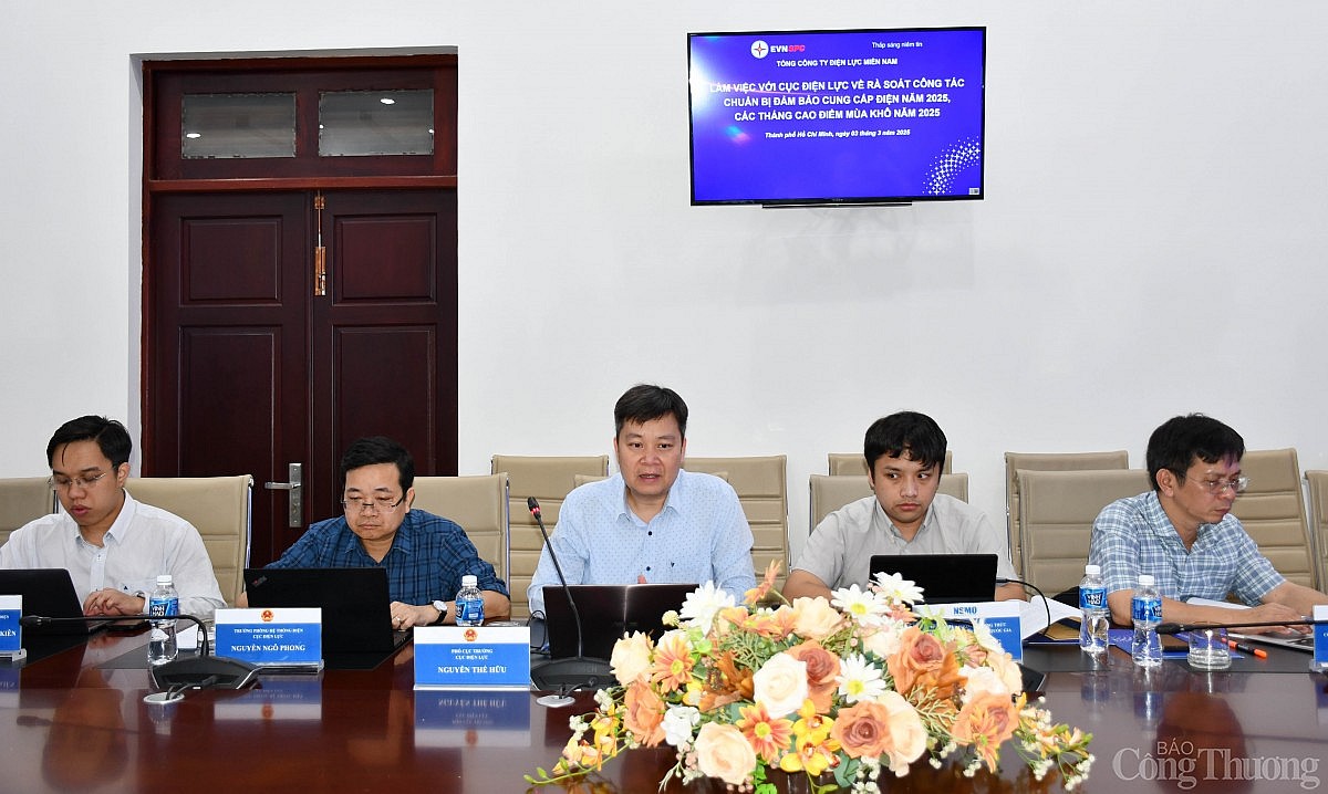 Bộ Công Thương làm việc với Điện lực miền Nam về đảm