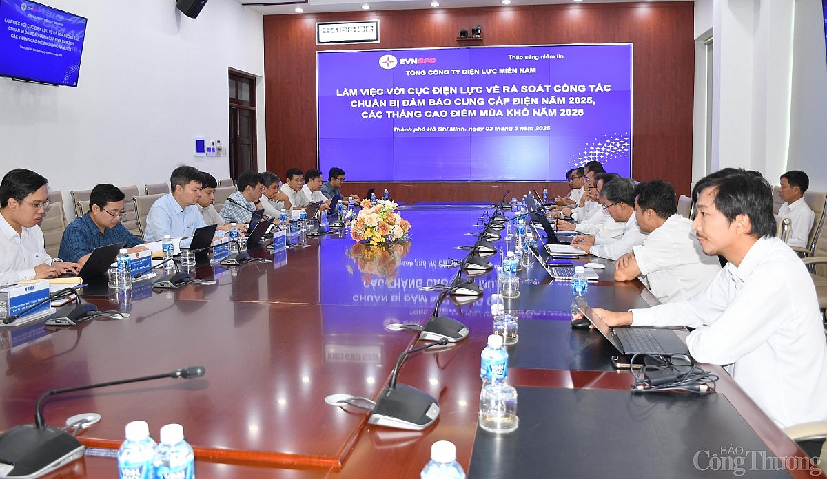 Bộ Công Thương làm việc với Điện lực miền Nam về đảm